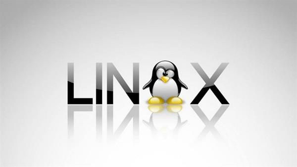 Windows /Mac OS X/Linux/Unixϵy(tng)Pc(din)