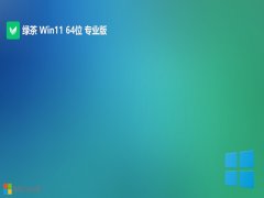 Gϵy(tng)win11 64λh(qing)v2025.02