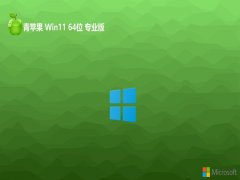 Oϵy(tng)win11⼤64λðv2025.02