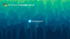 ϵy(tng)֮Windows11 64λ T(mn) 2021.09